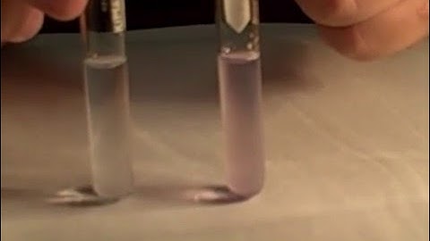 Biuret Test for Protein - Mr Pauller