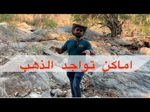 فيديو: هل تنمو أشجار السيسو في ولاية أريزونا؟