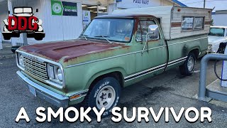 Don't Mind The Smell... I Bought An All Original 1977 Dodge D100 With A Vintage Camper Shell!