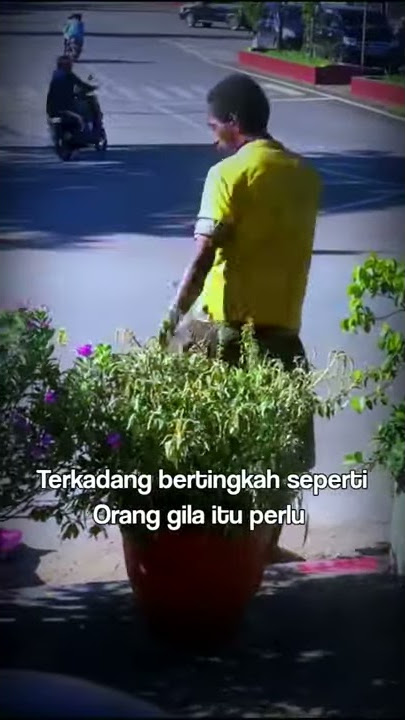 Story Wa Goyangan Orang Gila Pling Santuy