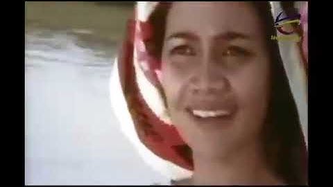 si pitung (banteng Betawi)