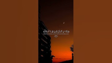 قران كريم#قران_كريم #اكسبلور #سبحان_الله #السعودية #لايك #quran