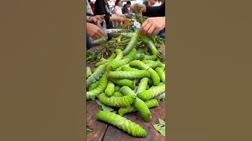 Fresh Green Leaf Caterpillars Just Harvested: Widely Sold in Asian Markets.@muhibbudinfood-ai