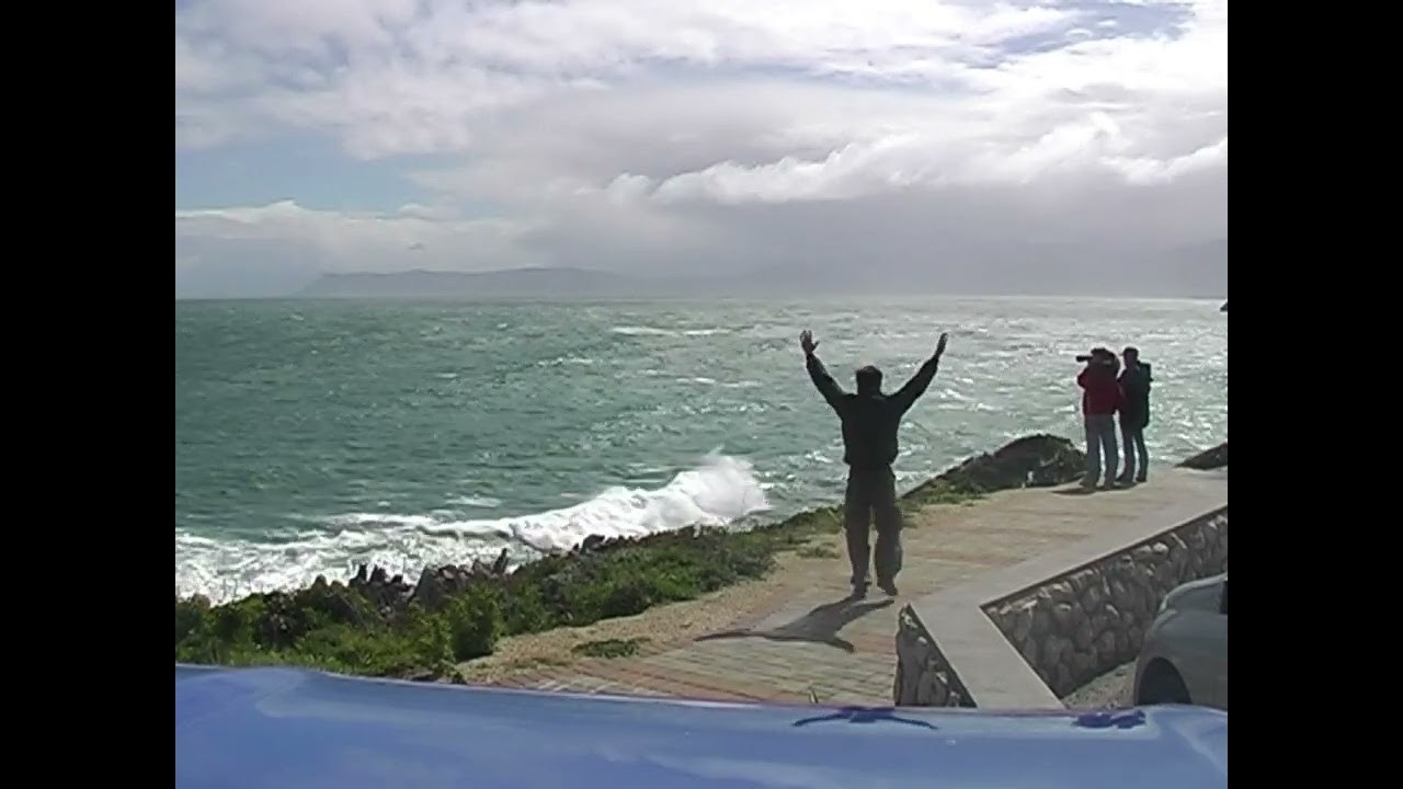 ЮАР незапланированная встреча с китами / whale / в Африке.Спасибо Andre Hartman . South Africa 2008