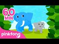 Belajar Nama Binatang! | Gajah dan hewan lain | Lagu Anak Pendidikan | Pinkfong Baby Shark