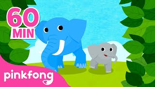 Belajar Nama Binatang! | Gajah dan hewan lain | Lagu Anak Pendidikan | Pinkfong Baby Shark