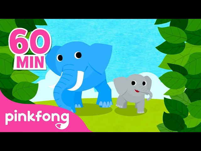 Belajar Nama Binatang! | Gajah dan hewan lain | Lagu Anak Pendidikan | Pinkfong Baby Shark class=