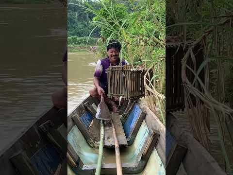 Video: Apakah maksud pemerangkapan?