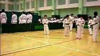 太極三型--綠帶升綠藍帶