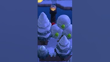 A CURSED Christmas Tree Farm! #shorts