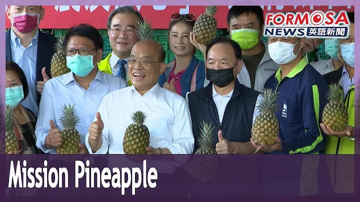 Taiwan targets 30,000 metric tons of pineapple exports despite China ban - DayDayNews