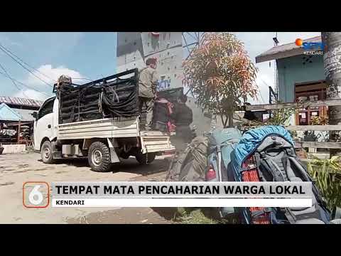 Mahacala Uho Kendari Melaksanakan Ekspedisi Pegunungan Tangkelemboke || SCTV KENDARI