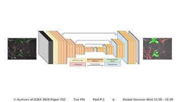 Real-Time Semantic Segmentation of Crop and Weed for Precision Agriculture Robots Leveraging Backgro