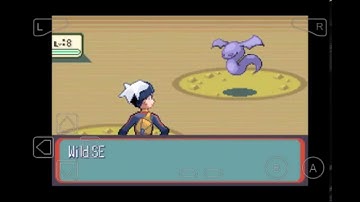 Pokémon Pekin Ruby playthrough part 12 The Training I Was Talking About