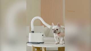 PAWSROOM 2.8HP Vertical Dog Hair Dryer with Two Kinds of Air Duct, 2000W Pet Grooming Dryer