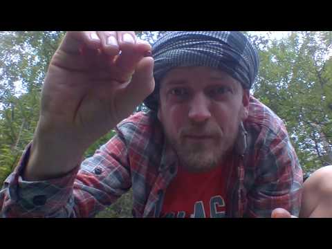 Βίντεο: Γιατί είναι χρήσιμο το φύλλο Lingonberry; Τα θεραπευτικά αποτελέσματα του Lingonberry