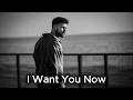 Calum Scott I Want You Now 2026 Official Lyrics Video 