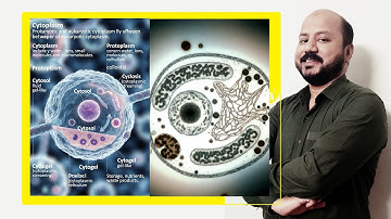 1.3.1 Cytoplasm and Protoplasm Explained | Structure, Composition & Functions || GS Academy