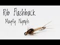 Rib Flashback Mayfly Nymph Nymph Fly Pattern
