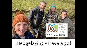 Hedgelaying - Have a go!