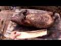 Вьетнамские свиньи. Опаливаем тушку