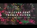Tinlicker feat thomas oliver  soon youll be gone vocal mix