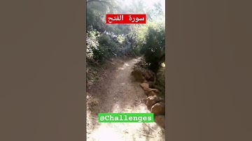 سورة الفتح #youtube #subscribe #اكسبلور #youtuber #دويتو #maroc #ترند #لايك #live #تيك_توك