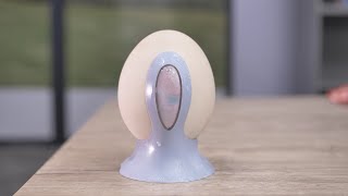 Genius Ideas GI-117150: Ceramic Egg Dehumidifier