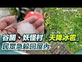 冰雹天氣