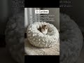 , Happy, and Healthy #catessentials #catmusthaves #catsoftiktok #catlovers #cattok pet essentials