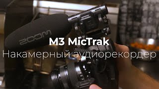 Zoom M3 MicTrak – микрофон-пушка с поддержкой записи 32-Bit Float