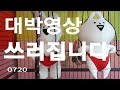 [Korea-gray parrot]연구대상앵무새똘이 영상을 못보신 이모 삼촌~빨리와~안 보면 후회합니다. 대박영상입니다