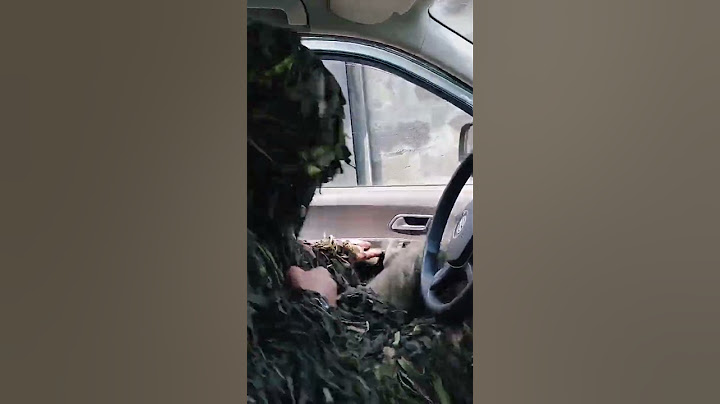 БАБАЙ ЗСУ