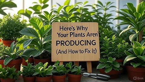 Here’s Why Your Plants Aren’t PRODUCING (And How to Fix It)