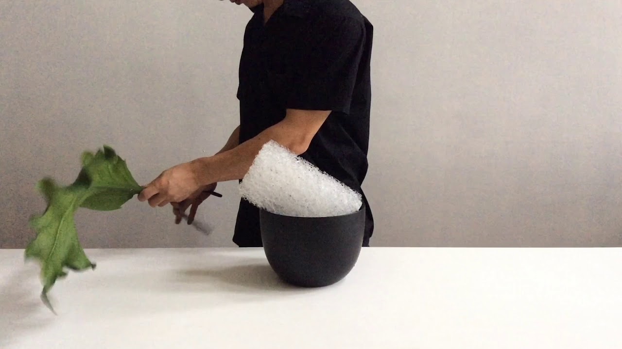 maison koichiro kimura