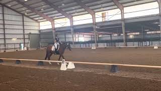 Gianna Rinaldo ‘Ink Can Do’ 2023 USDF Training Level Test 1 6-10-23 (65%)