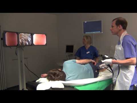 Video: Endoskopie - Methoden, Typen, Indikationen, Wie Die Studie Durchgeführt Wird