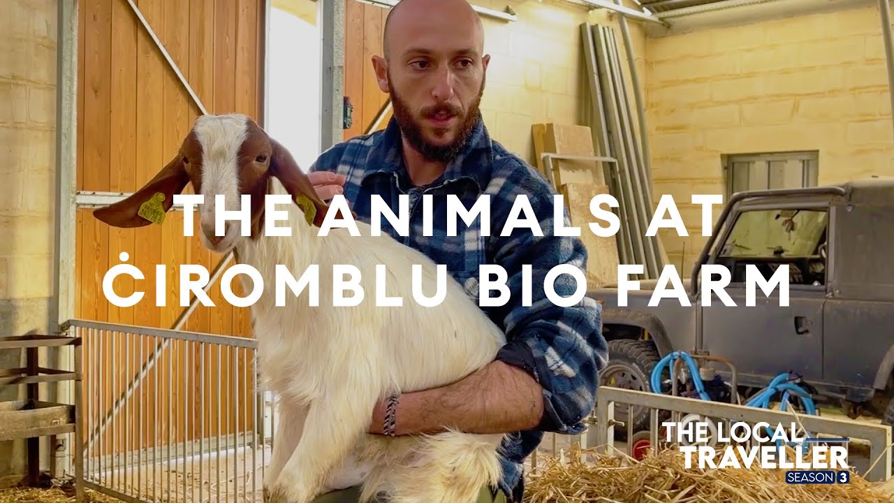 Ċiromblu's Animal Farm | S3 EP: 16, part 2 | The Local Traveller with Clare Agius | Malta