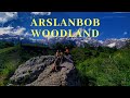 Arslanbob walnut forest