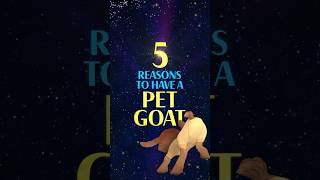 5 Reasons To Have A Pet Goat ✨ | Wish | Disney Kids