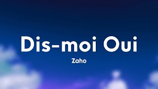 Zaho - Dis-moi oui (Paroles/Lyrics) Resimi