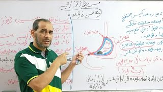 متعة الأحياء. الهضم في المعده و الأمعاء . تانيه ثانوي 2024 .أهم الفنيات.
