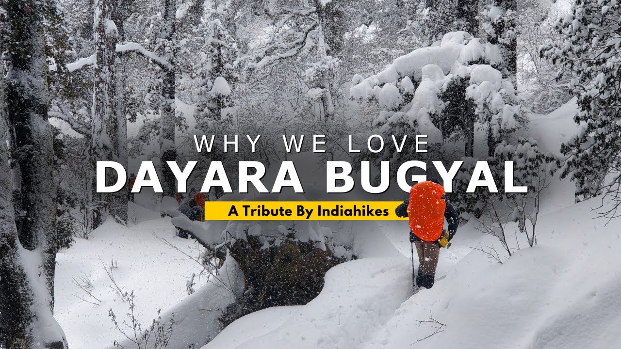 Why We Love Dayara Bugyal Trek | A Tribute by Indiahikes