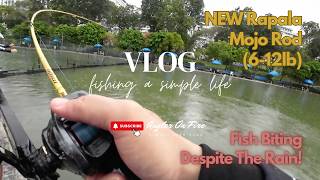 Vlog 72: Are The Fish Biting In The Rain? Absolutely! Fishing Fun With The Rapala MOJO 6-12lb Rod! screenshot 1