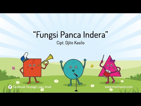 Download Lagu Pembelajaran Panca Indera Video Mp4 Mp3 Gratis Gambar