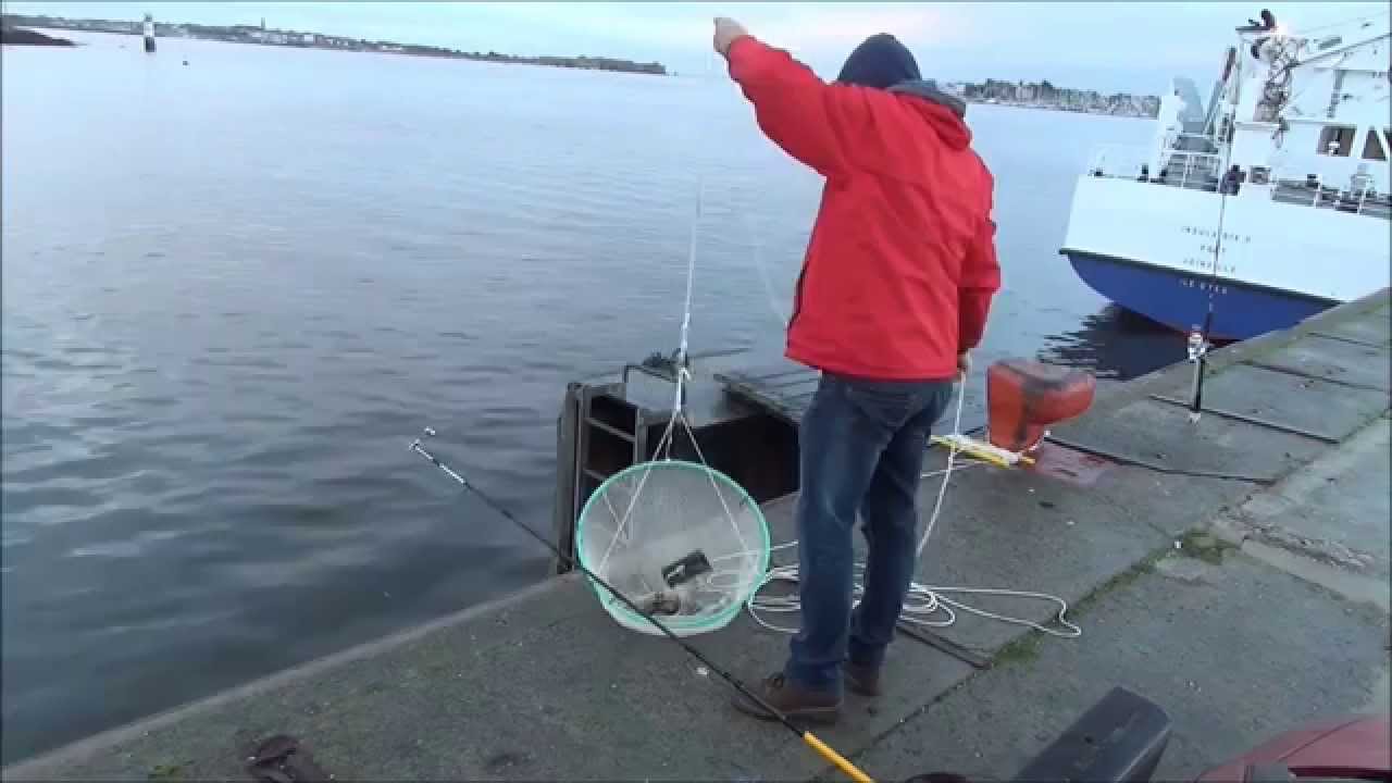 2 Heavy Duty Mer Pêche Appât chargeuses appâtage aiguille crabe LUG noirs Calmar Rag