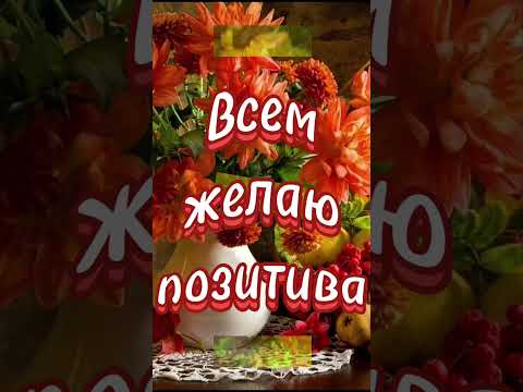 Пятница, доброе утро