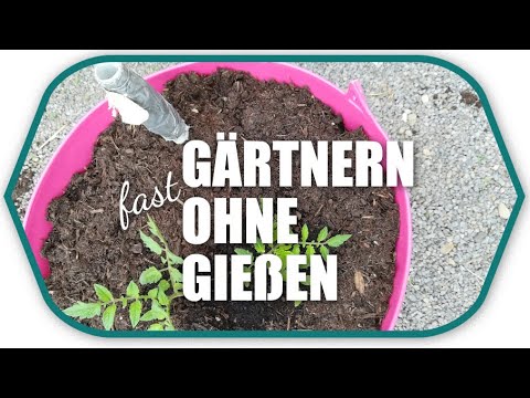 Gärtnern fast ohne gießen YouTube