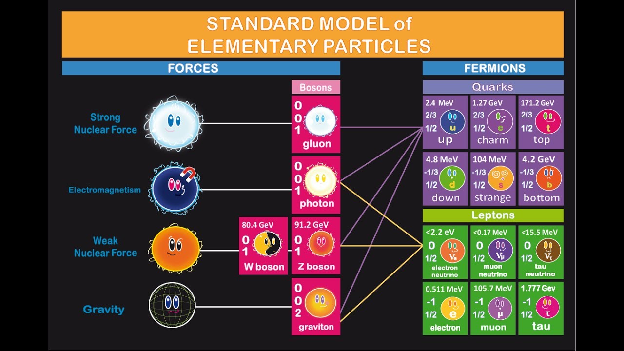 Modelo Standard de Particulas Elementales - YouTube