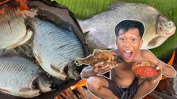 Decko streams, chapter: PFKH #049 | Eating & Cooking fish on the rock eating delicious in the jungle